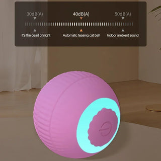  Interactive Smart Cat Ball cashymart