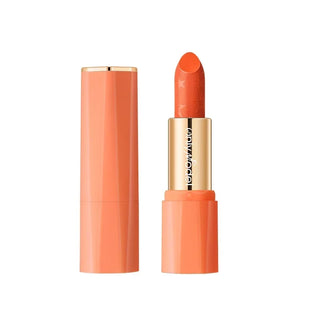  Orange Lipstick Waterproof Long Lasting Matte Velvet Tint cashymart