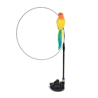  Interactive Peacock Cat Toy with Bell cashymart