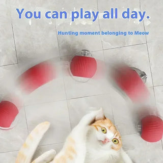  Interactive Rechargeable Cat Toy Ball cashymart