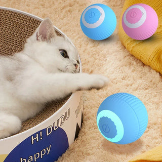  Interactive Smart Cat Ball cashymart