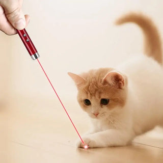  Interactive Laser Pointer Toy for Cats - Fun & Fitness Anywhere! cashymart