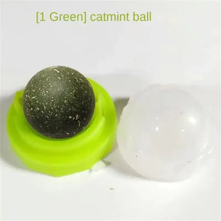  Rotatable Catnip Mint Balls - Fun & Safe Teeth Grinding Toys cashymart