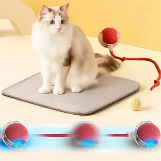  Interactive Rechargeable Cat Toy Ball cashymart