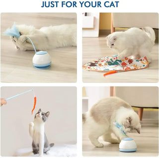  Interactive 360° Rotating Electric Cat Toy cashymart