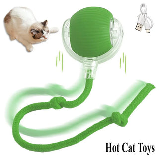  Interactive Rechargeable Cat Toy Ball with Rolling Tail and Sound cashymart