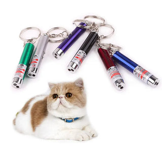  Interactive LED Laser Pointer Toys for Cats cashymart