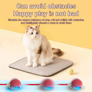  Interactive Rechargeable Cat Toy Ball with Rolling Tail and Sound cashymart