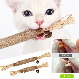  Organic Silvervine Cat Chew Sticks cashymart