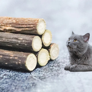  10-Pack Natural Catnip Chew Sticks cashymart