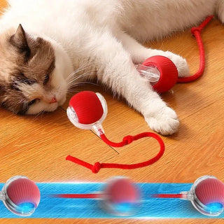  Automated Cat Fun: Interactive Rolling Ball Toy with USB Charging cashymart