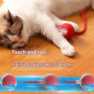  Smart Rechargeable Cat & Dog Interactive Rolling Toy cashymart