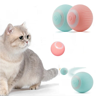  Interactive Gravity Rolling Ball for Cats and Dogs cashymart