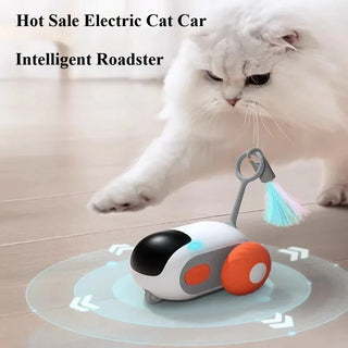  Interactive Remote Control Cat Toy Car with Obstacle Avoidance cashymart