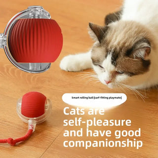  Interactive Rechargeable Cat Ball Toy cashymart