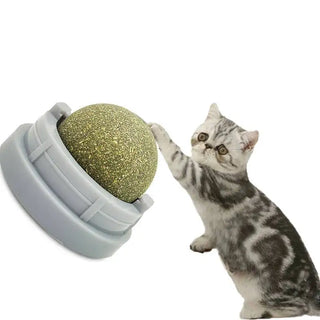  Healthy Catnip Wall Balls cashymart