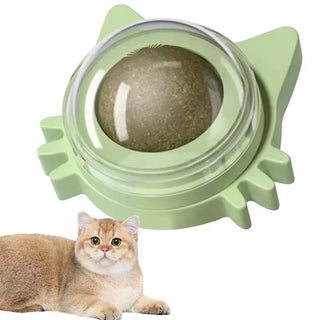  Catnip Lollipop Ball Toy for Cats - Fun & Interactive Playtime! cashymart