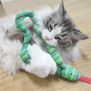  Plush Snake Catnip Toy cashymart