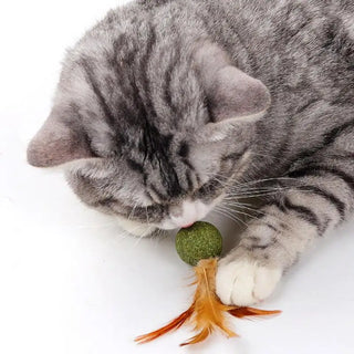  Interactive Catnip Feather Ball cashymart