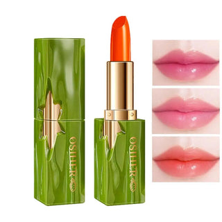  Transformative Color-Changing Lipstick cashymart