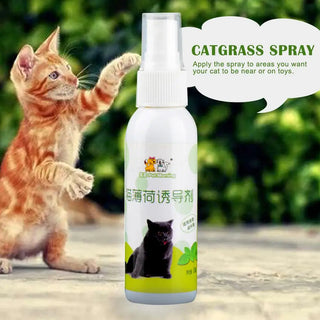  50ml Natural Catnip Spray cashymart