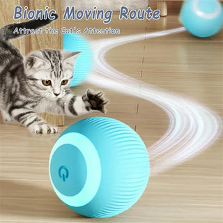  Electric Rolling Cat Toy Ball cashymart