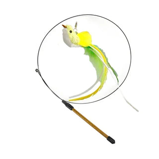  Interactive Peacock Cat Toy with Bell cashymart