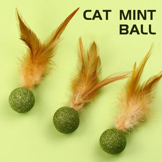  Natural Catnip Mint Balls cashymart