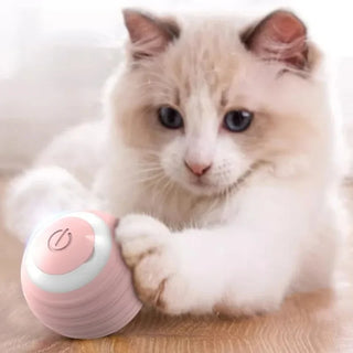  Smart 360° Rotating Cat & Dog Toy Ball cashymart