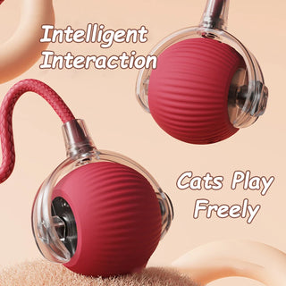  Interactive Rechargeable Cat Ball Toy cashymart