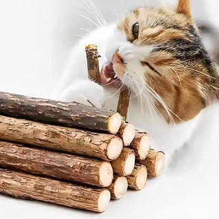  Natural Silvervine Cat Chew Sticks for Healthy Teeth & Fun cashymart