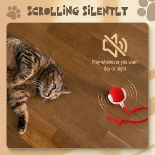  Interactive Rechargeable Cat Ball Toy cashymart