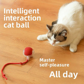  Interactive Rechargeable Cat Toy Ball with Rolling Tail and Sound cashymart