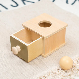  Montessori Coin Ball Drum cashymart