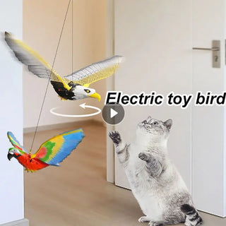  Luminous Electric Eagle Cat Toy – Interactive Bird Chaser cashymart