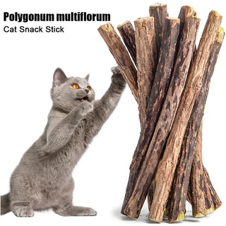  Natural Silvervine Cat Chew Sticks for Healthy Teeth & Fun cashymart