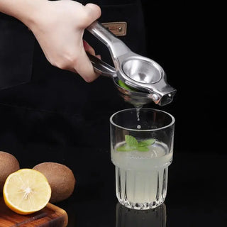  Stainless Steel Citrus Fruit Juicer cashymart