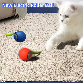  Interactive Electric Cat Toy cashymart