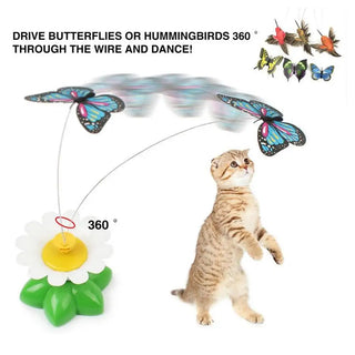  Interactive Rotating Cat Toy cashymart