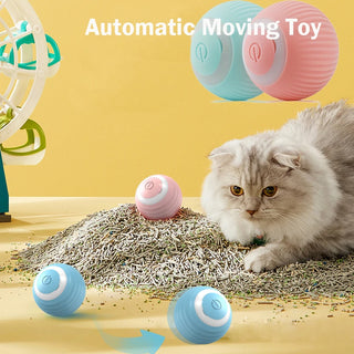  Interactive Gravity Rolling Ball for Cats and Dogs cashymart