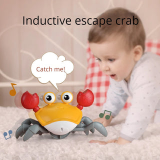  Interactive Musical Induction Crab Toy cashymart