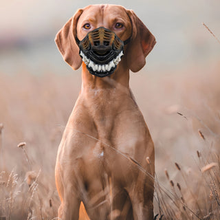 Scary Dog Muzzle with Horror Teeth