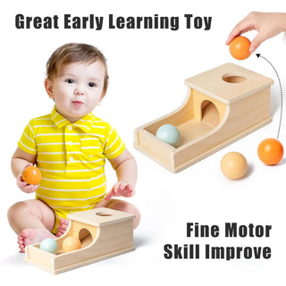  Montessori Coin Ball Drum cashymart