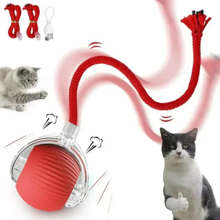  Interactive Rechargeable Cat Toy Ball cashymart