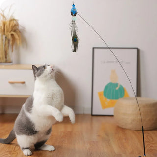  Interactive Peacock Cat Toy with Bell cashymart