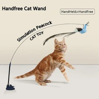  Interactive Peacock Cat Toy with Bell cashymart