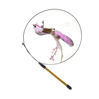  Interactive Peacock Cat Toy with Bell cashymart