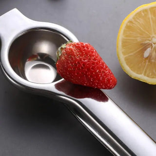  Stainless Steel Citrus Fruit Juicer cashymart