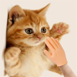  Paw-some Mini Silicone Cat Massage Gloves for Interactive Fun! cashymart