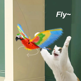  Luminous Electric Eagle Cat Toy – Interactive Bird Chaser cashymart